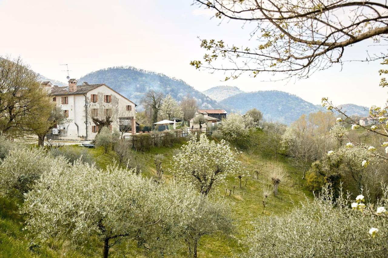 Asolo Norah'S Hill Agri Rooms Monfumo Экстерьер фото
