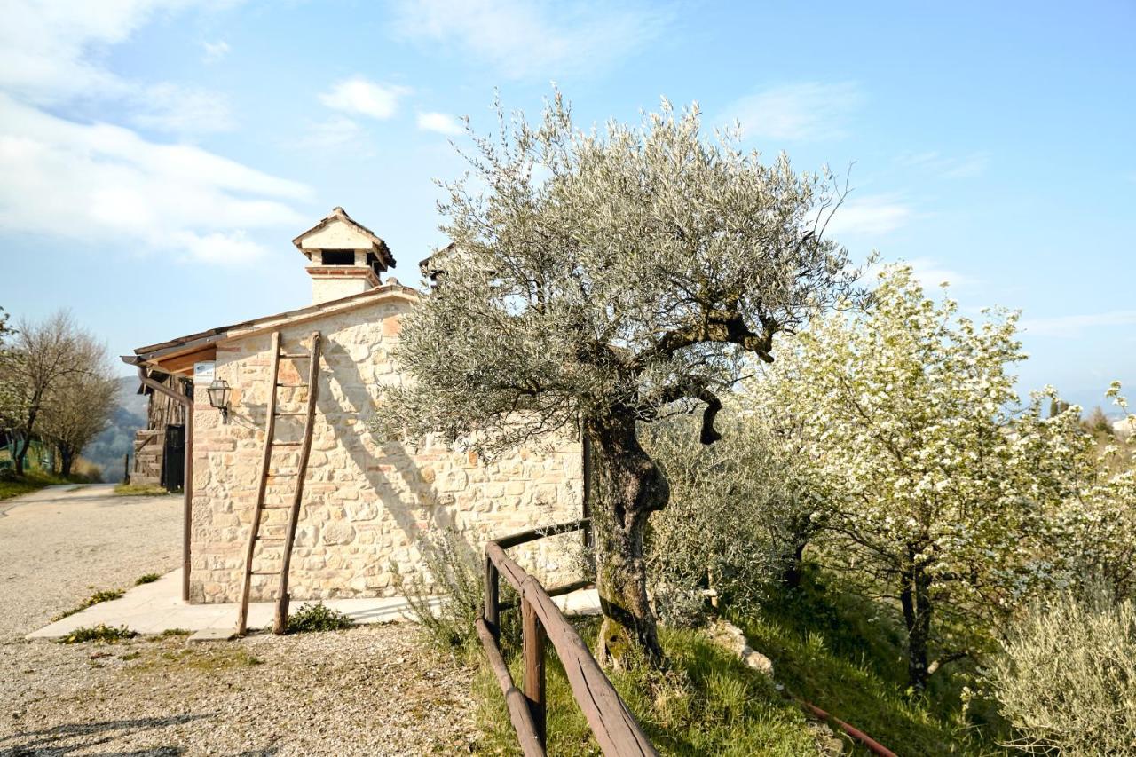 Asolo Norah'S Hill Agri Rooms Monfumo Экстерьер фото