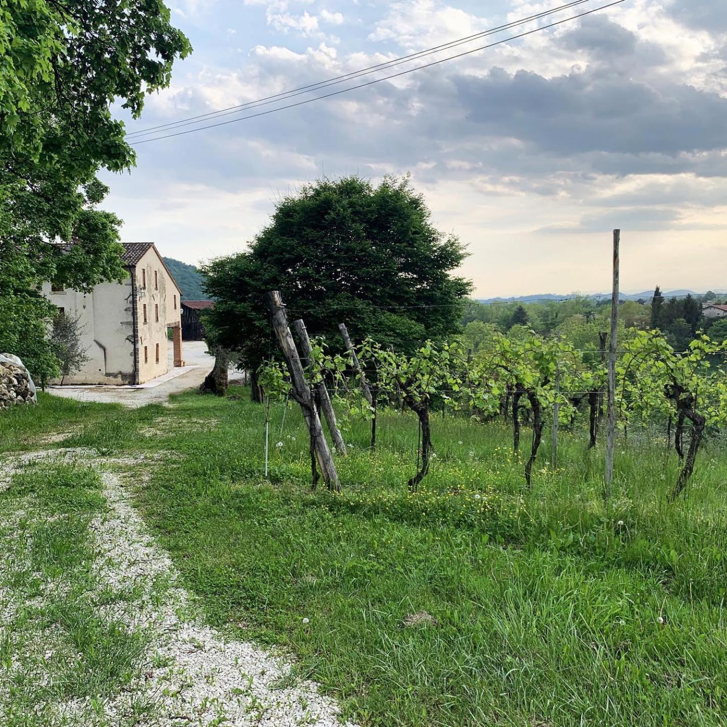 Asolo Norah'S Hill Agri Rooms Monfumo Экстерьер фото